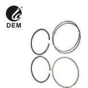 برای RVI OD-RV18 MIDR 620.30 19T C279T PR14SGL C260 حلقه های پیستون حلقه های روغن